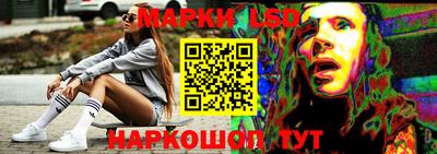 spice Чебоксары