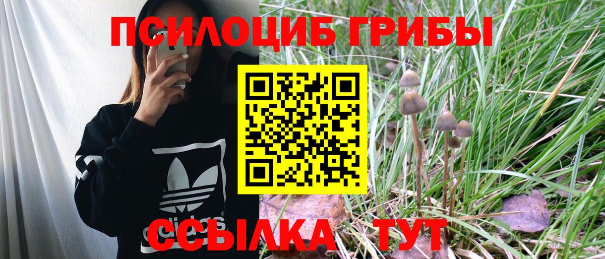 Галлюциногенные грибы мицелий Балашиха