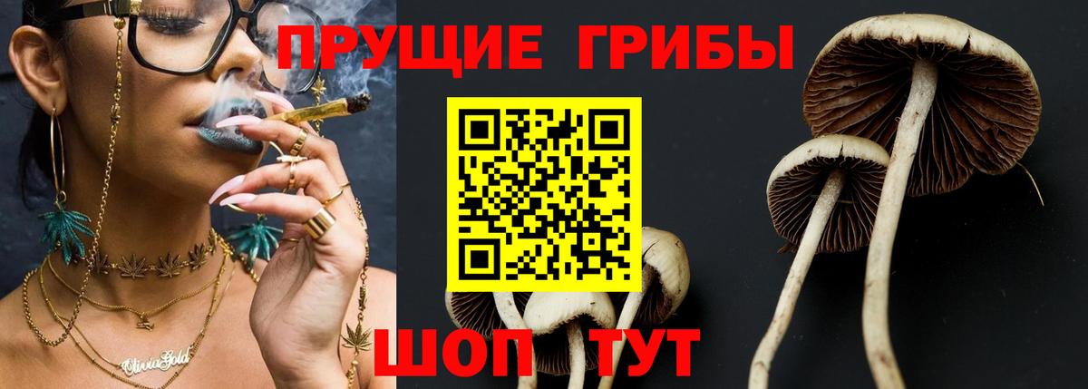 Псилоцибиновые грибы прущие грибы  Вход с VPN  Балашиха 